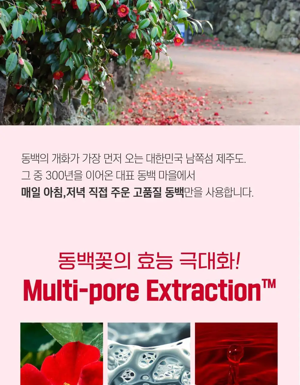 [10층탄력] 라운드랩 동백 딥 콜라겐 탄력 크림 50ml 기획 (+10ml) 상세페이지 31